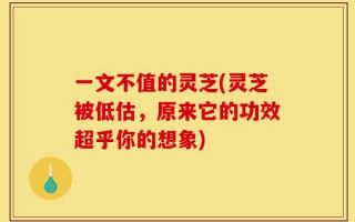 一文不值的灵芝(灵芝被低估，原来它的功效超乎你的想象)