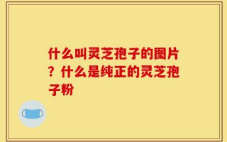 什么叫灵芝孢子的图片？什么是纯正的灵芝孢子粉