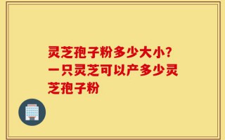 灵芝孢子粉多少大小？一只灵芝可以产多少灵芝孢子粉