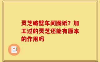 灵芝破壁车间图纸？加工过的灵芝还能有原本的作用吗