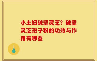 小土妞破壁灵芝？破壁灵芝孢子粉的功效与作用有哪些