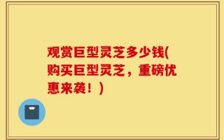 观赏巨型灵芝多少钱(购买巨型灵芝，重磅优惠来袭！)