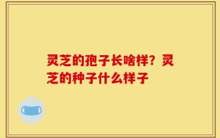 灵芝的孢子长啥样？灵芝的种子什么样子
