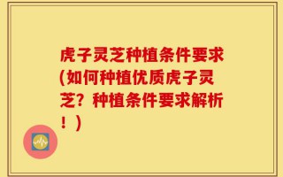 虎子灵芝种植条件要求(如何种植优质虎子灵芝？种植条件要求解析！)