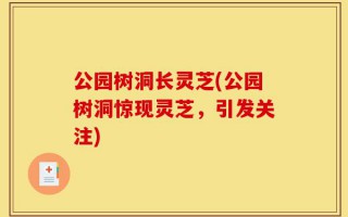 公园树洞长灵芝(公园树洞惊现灵芝，引发关注)