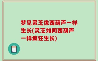 梦见灵芝像西葫芦一样生长(灵芝如同西葫芦一样疯狂生长)
