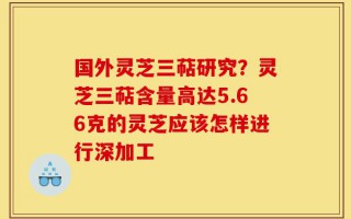 国外灵芝三萜研究？灵芝三萜含量高达5.66克的灵芝应该怎样进行深加工