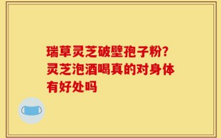 瑞草灵芝破壁孢子粉？灵芝泡酒喝真的对身体有好处吗