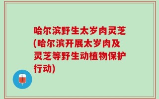 哈尔滨野生太岁肉灵芝(哈尔滨开展太岁肉及灵芝等野生动植物保护行动)