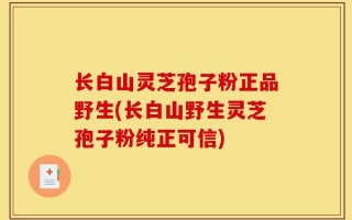 长白山灵芝孢子粉正品野生(长白山野生灵芝孢子粉纯正可信)