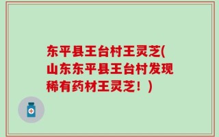 东平县王台村王灵芝(山东东平县王台村发现稀有药材王灵芝！)