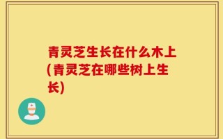 青灵芝生长在什么木上(青灵芝在哪些树上生长)