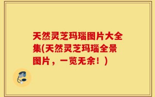 天然灵芝玛瑙图片大全集(天然灵芝玛瑙全景图片，一览无余！)