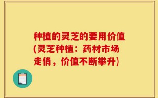种植的灵芝的要用价值(灵芝种植：药材市场走俏，价值不断攀升)
