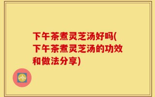 下午茶煮灵芝汤好吗(下午茶煮灵芝汤的功效和做法分享)