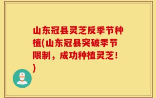 山东冠县灵芝反季节种植(山东冠县突破季节限制，成功种植灵芝！)