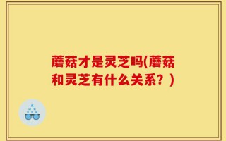 蘑菇才是灵芝吗(蘑菇和灵芝有什么关系？)