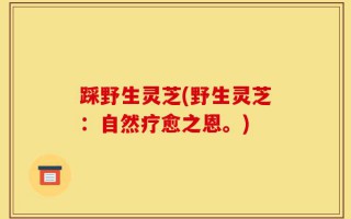 踩野生灵芝(野生灵芝：自然疗愈之恩。)