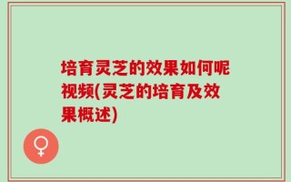 培育灵芝的效果如何呢视频(灵芝的培育及效果概述)
