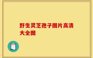 野生灵芝孢子图片高清大全图