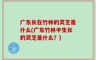 广东长在竹林的灵芝是什么(广东竹林中生长的灵芝是什么？)