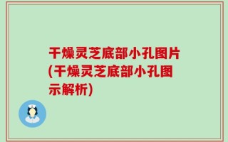 干燥灵芝底部小孔图片(干燥灵芝底部小孔图示解析)