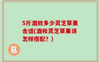 5斤酒放多少灵芝草果合适(酒和灵芝草果该怎样搭配？)