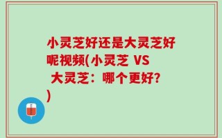 小灵芝好还是大灵芝好呢视频(小灵芝 VS 大灵芝：哪个更好？)