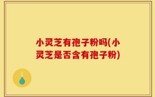 小灵芝有孢子粉吗(小灵芝是否含有孢子粉)