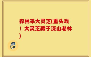 森林采大灵芝(重头戏！大灵芝藏于深山老林)