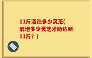 11斤酒泡多少灵芝(酒泡多少灵芝才能达到11斤？)