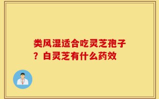 类风湿适合吃灵芝孢子？白灵芝有什么药效