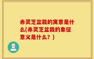 赤灵芝盆栽的寓意是什么(赤灵芝盆栽的象征意义是什么？)