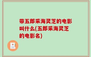 带五郎采海灵芝的电影叫什么(五郎采海灵芝的电影名)