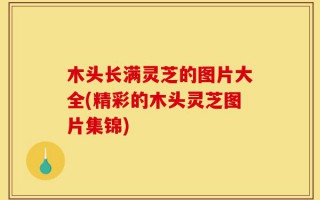 木头长满灵芝的图片大全(精彩的木头灵芝图片集锦)
