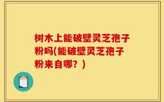 树木上能破壁灵芝孢子粉吗(能破壁灵芝孢子粉来自哪？)