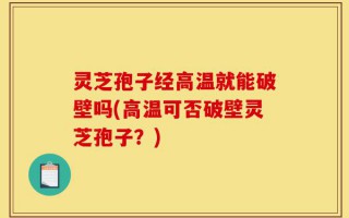 灵芝孢子经高温就能破壁吗(高温可否破壁灵芝孢子？)