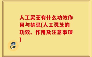 人工灵芝有什么功效作用与禁忌(人工灵芝的功效、作用及注意事项)