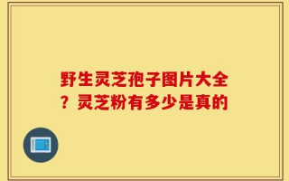 野生灵芝孢子图片大全？灵芝粉有多少是真的