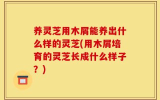 养灵芝用木屑能养出什么样的灵芝(用木屑培育的灵芝长成什么样子？)