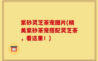 紫砂灵芝茶宠图片(精美紫砂茶宠搭配灵芝茶，看这里！)