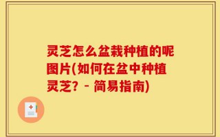 灵芝怎么盆栽种植的呢图片(如何在盆中种植灵芝？- 简易指南)