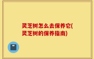 灵芝树怎么去保养它(灵芝树的保养指南)