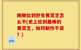 刚刚捡到野生黄灵芝怎么干(史上捡到最棒的黄灵芝，如何制作干货？)