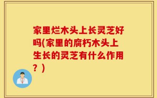 家里烂木头上长灵芝好吗(家里的腐朽木头上生长的灵芝有什么作用？)