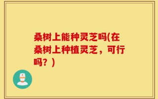 桑树上能种灵芝吗(在桑树上种植灵芝，可行吗？)
