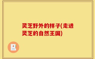 灵芝野外的样子(走进灵芝的自然王国)