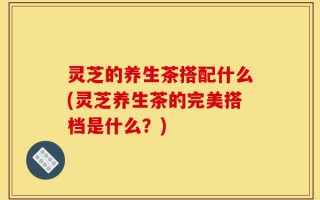 灵芝的养生茶搭配什么(灵芝养生茶的完美搭档是什么？)