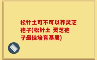 松针土可不可以养灵芝孢子(松针土 灵芝孢子最佳培育基质)