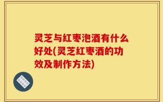 灵芝与红枣泡酒有什么好处(灵芝红枣酒的功效及制作方法)